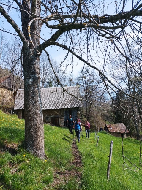 Col du Barioz (4).jpg